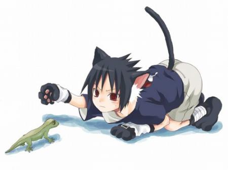neko sasuke