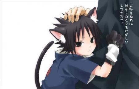 sasuke neko