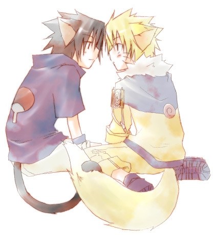 sasuke neko et naru renard 