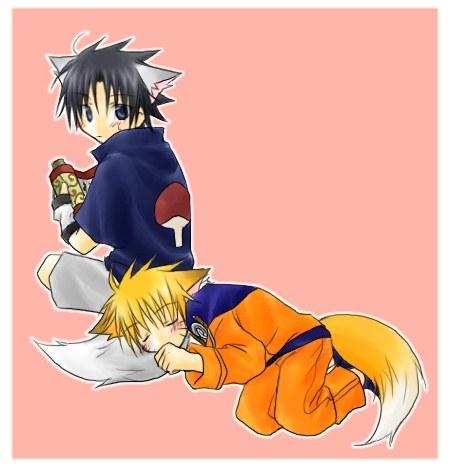 neko sasuke renard naruto